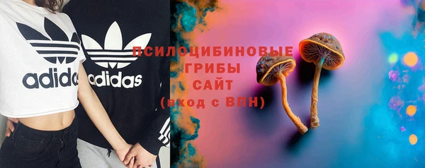 индика Верхнеуральск