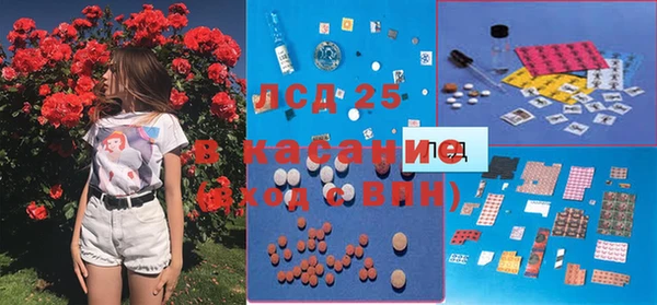 крисы Верея