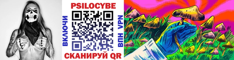 Галлюциногенные грибы Magic Shrooms  Любим 